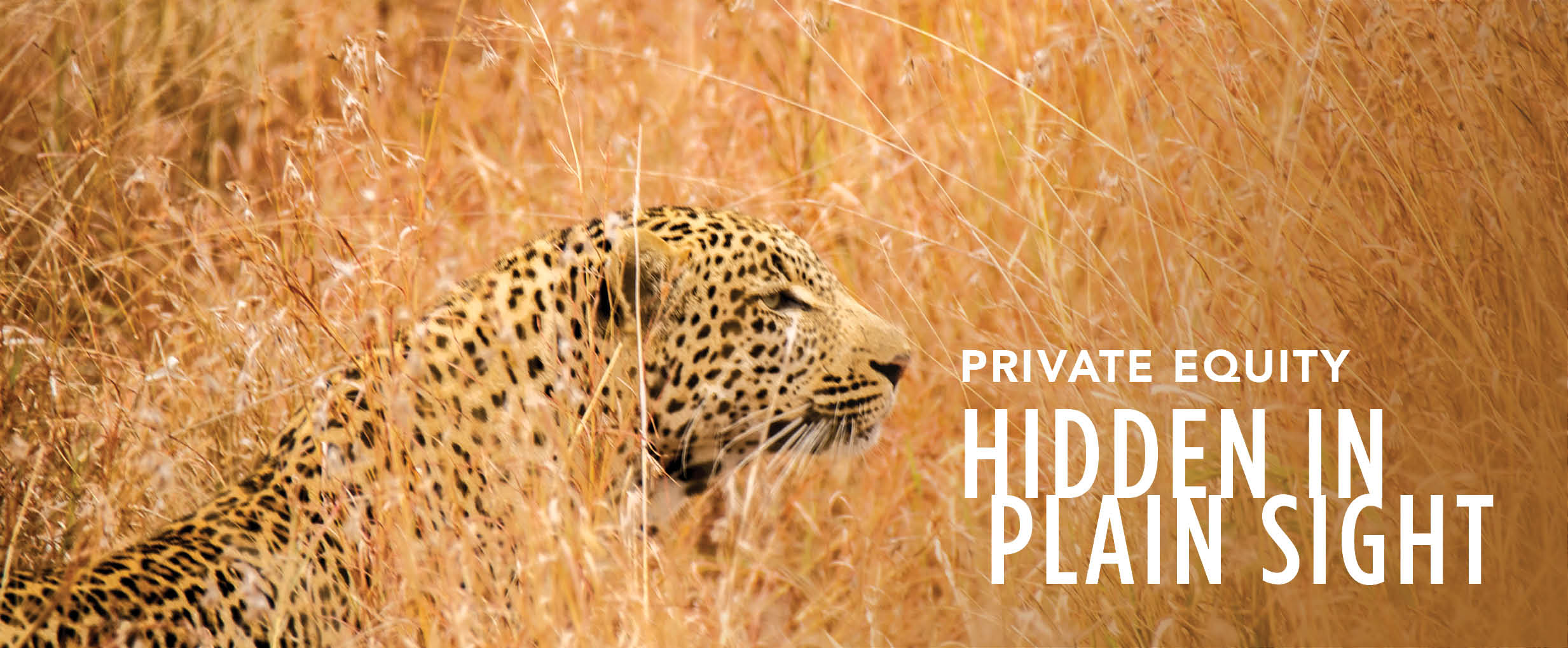 Hidden in Plain Sight: Private Equity, Part 1