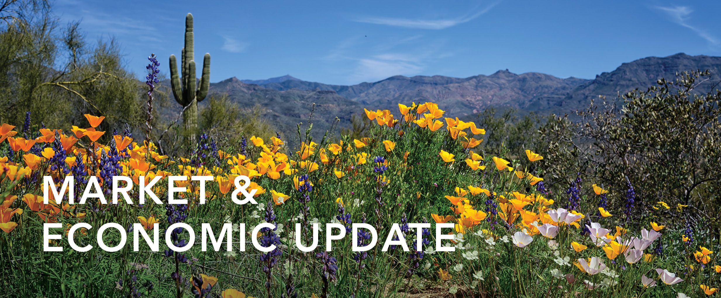 Q1 2025 MARKET & ECONOMIC UPDATE