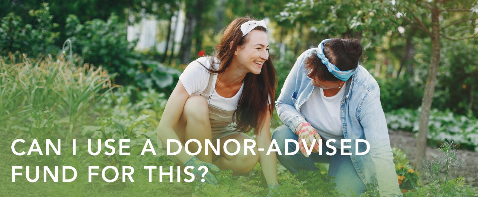 Can I Use a Donor-Advised Fund for This?