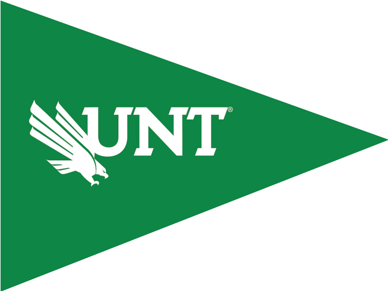 UNT Business Career Fair, Sept 2